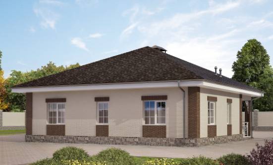 100-004-Л Проект одноэтажного дома, доступный загородный дом из бризолита Елец | Проекты домов от House Expert
